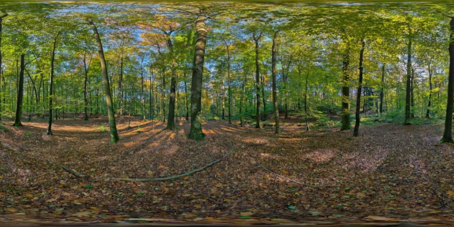 Aachener Wald Aachener Wald