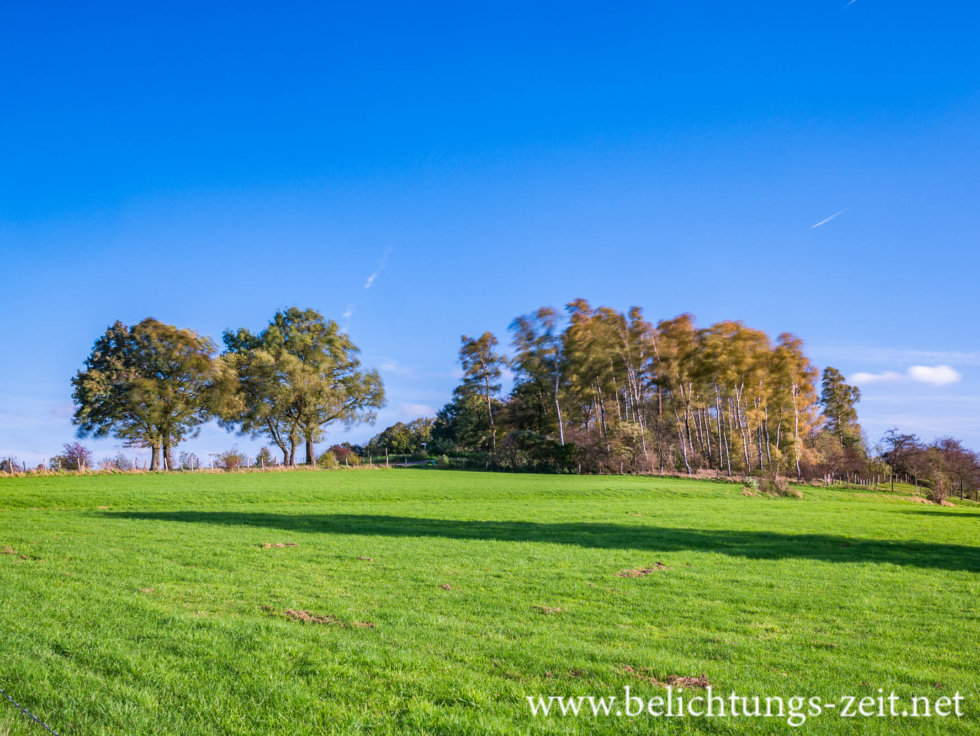 Birkenhain